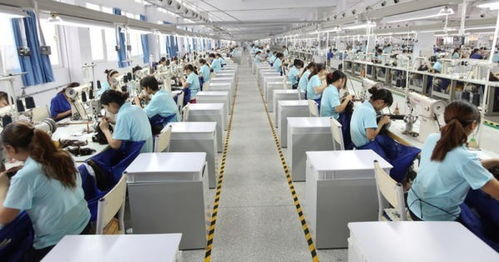 2022年河南電子商務(wù)運行呈穩(wěn)定增長態(tài)勢，經(jīng)營額達12122.45億元